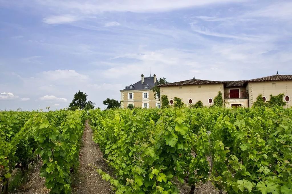 法国著名葡萄酒庄(法国葡萄酒庄园出售价格查询)